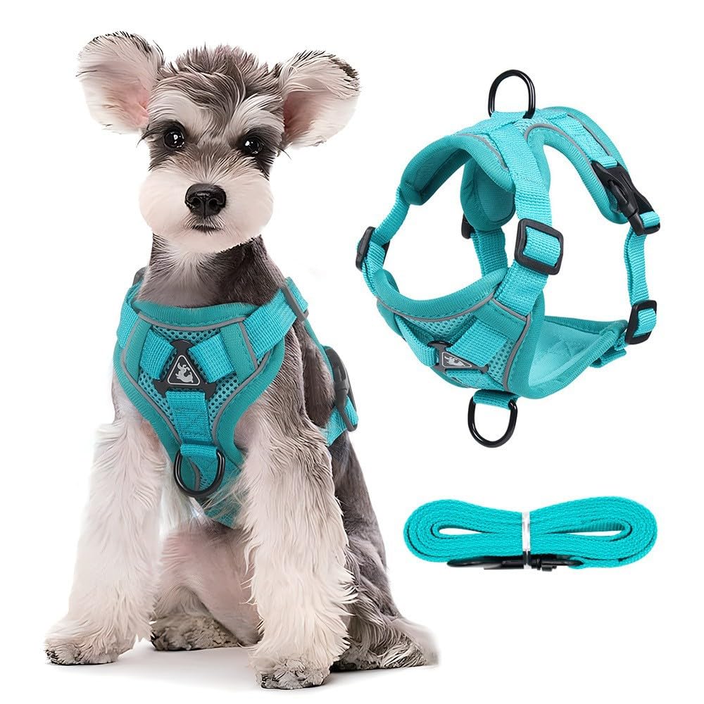 Photo 1 of Reflective No-Pull Dog Harness - Outdoor Adjustable Travel Auxiliary Leash, Breathable Vest with Leash for Small Medium Pets, Size M