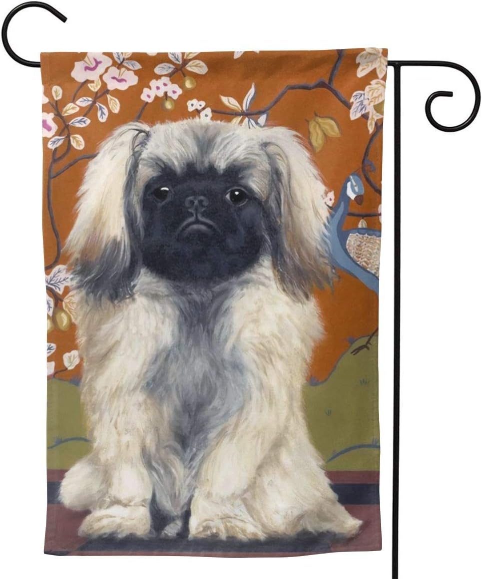 big pekingese
