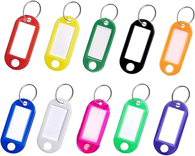 Lefute Key Tags Pack of 10 with Labels 2 x 0.87 x 0.12 in Plastic Covers