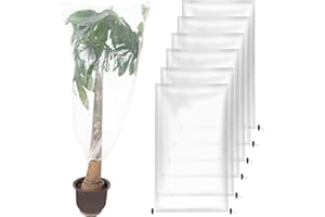 ANPHSIN 6 Pcs Winter Plant Film Cover with Drawstring - 35" x 59" Plastic Plant Cover Freeze Protection Transparent Waterproof Plant Shelter Bag for Outdoors Garden Plants Shrubs Sapling Crops