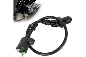 MTATCN Ignition Coil for 150cc 250cc Go Kart Dune Buggy 6.000.257 Scooter Motorcycle ATV Quad Moped