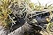 ZAPT Boonie Hat Military Camo Cap Hunter Sniper Ghillie Bucket Hats Adjustable Jungle Bush Hat