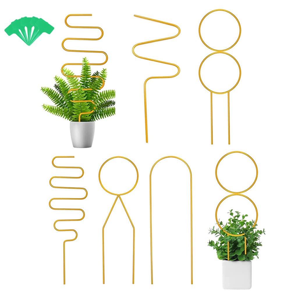 5 Pack Golden Indoor Trellis, 30 to 35 cm Garden Trellis for Climbing Plants