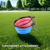 H&S 2 Collapsible Silicone Travel Bowls Small Pet Water & Food Bowl view 5
