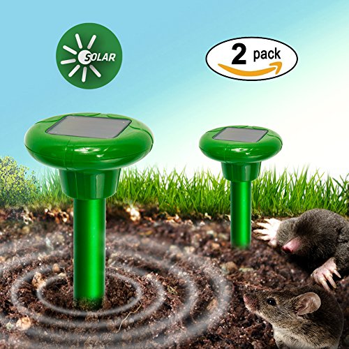 Redeo Mole Repeller Solar Sonic Mole Repellent Repel Mole Gopher Vole Rodent Repeller Spike Waterproof (Pack of 2) Redeo Mole Repeller Solar Sonic Mole Repellent Repel Mole Gopher Vole Rodent Repeller Spike Waterproof (Pack of 2)
