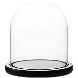 WHOLE HOUSEWARES | Decorative Clear Glass Dome