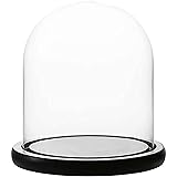 WHOLE HOUSEWARES | Decorative Clear Glass Dome