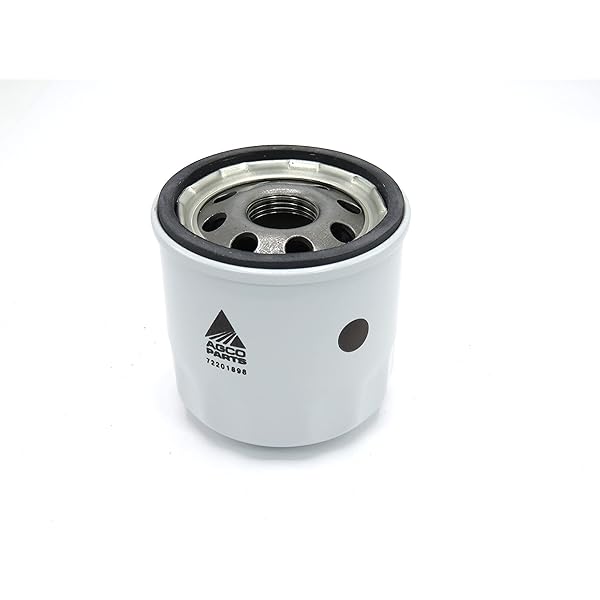 Amazon.com: 7077903M1 AGCO Oil Filter Replaces Filter Number 