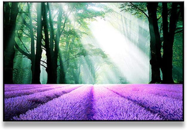 None brand Púrpura Lavanda Campo Pintura Decorativa Carteles Lienzo