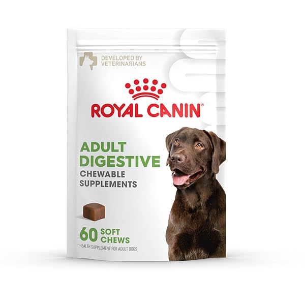 ROYAL CANIN DIGESTIVE DOG SUPPLEMENT SOFT CHEWS FOR...