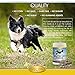 Chewable Omega 3 Salmon Oil Supplement for dogs-120 Gluten Free Wild Alaskan Fish Oil Bites for Youthful Skin & Coat, Heart Healthy EPA/DHA, Boost Immune System & Metabolism, Anti Inflammatory