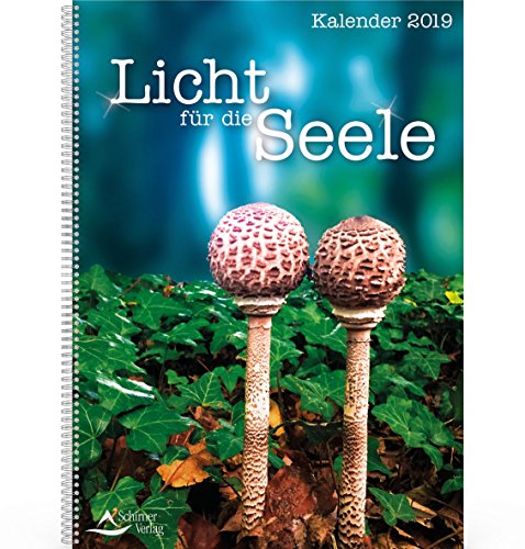 Buch Licht Für Die Seele Kalender 2019 Tischkalender - 