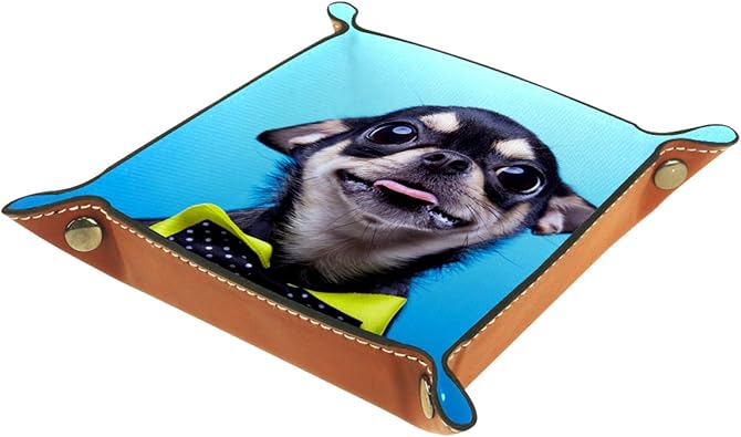 YATELI Kleine Aufbewahrungsbox,Herren-Valet-Tablett,Schöner Chihuahua