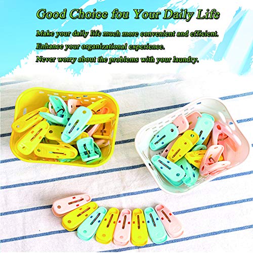 24 Pack Clothespins in Basket Mini Colored Utility Clips Holders Laundry Windproof Plastic Pegs for Outdoor Clothesline, Kitchen Bag Sealing - Thumbnail 2