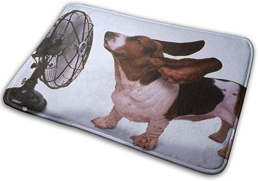 Amazon 扇風機を持つ犬カーペット 足ふきマット 玄関マット 足拭きマット 速乾 吸水 抗菌 耐久性 ふわふわ 丸洗い 風呂 浴室 台所 キッチン 40 60 0 8cm ラグ カーペット オンライン通販