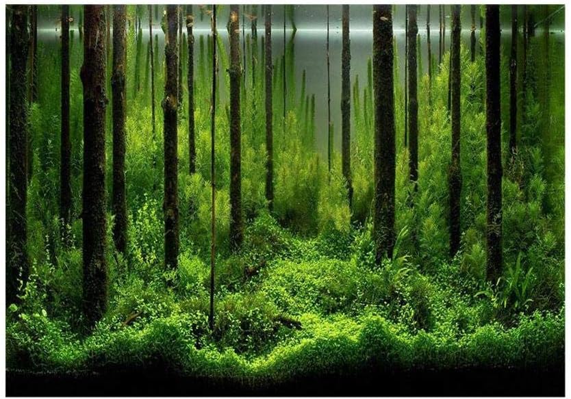 Forest Tank Aquarium Poster, PVC Adhesive Underwater Forest Fish Tank