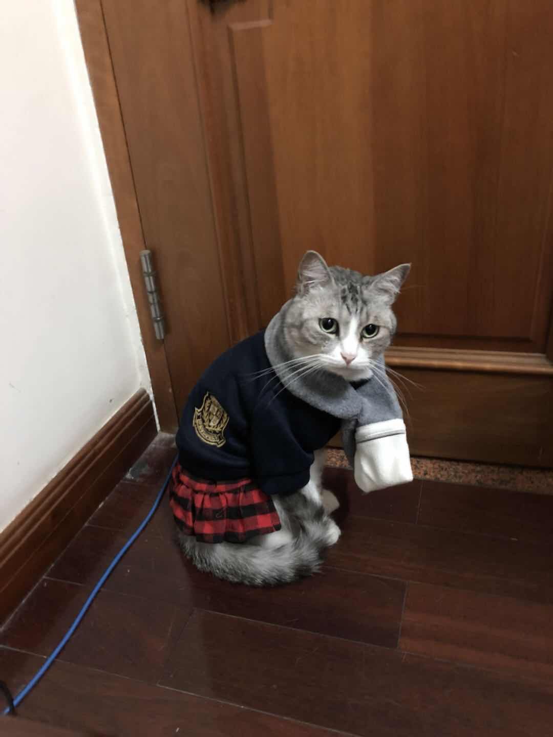 Yoption Pet Lovers Suit Student Jumpsuit with Scarf Spring Autumn Soft Pet Clothes for Female Pet Cat Puppy-Size L