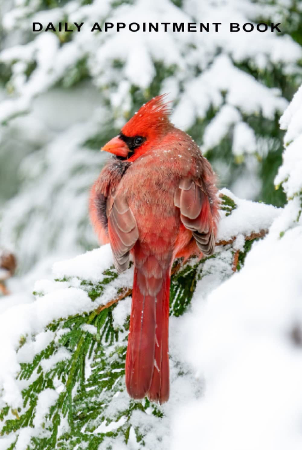 Daily Appointment Book: Male Cardinal Winter Appointment Notebook