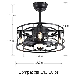 SYXLCYGJ Caged Ceiling Fans with Lights Remote