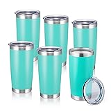 StarSpeed 20oz 6 pack Insulated Tumblers with Lid