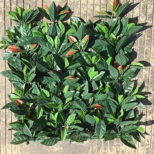 Artificial Hedge Plant Privacy Fence Screen Greenery Panels for Both Outdoor or Indoor, garden or backyard home decorations (20x20 inch artificalHedge-European Laurel, 1 PC Sample)