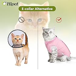 hipet Cat Surgery Recovery Suit for Abdominal