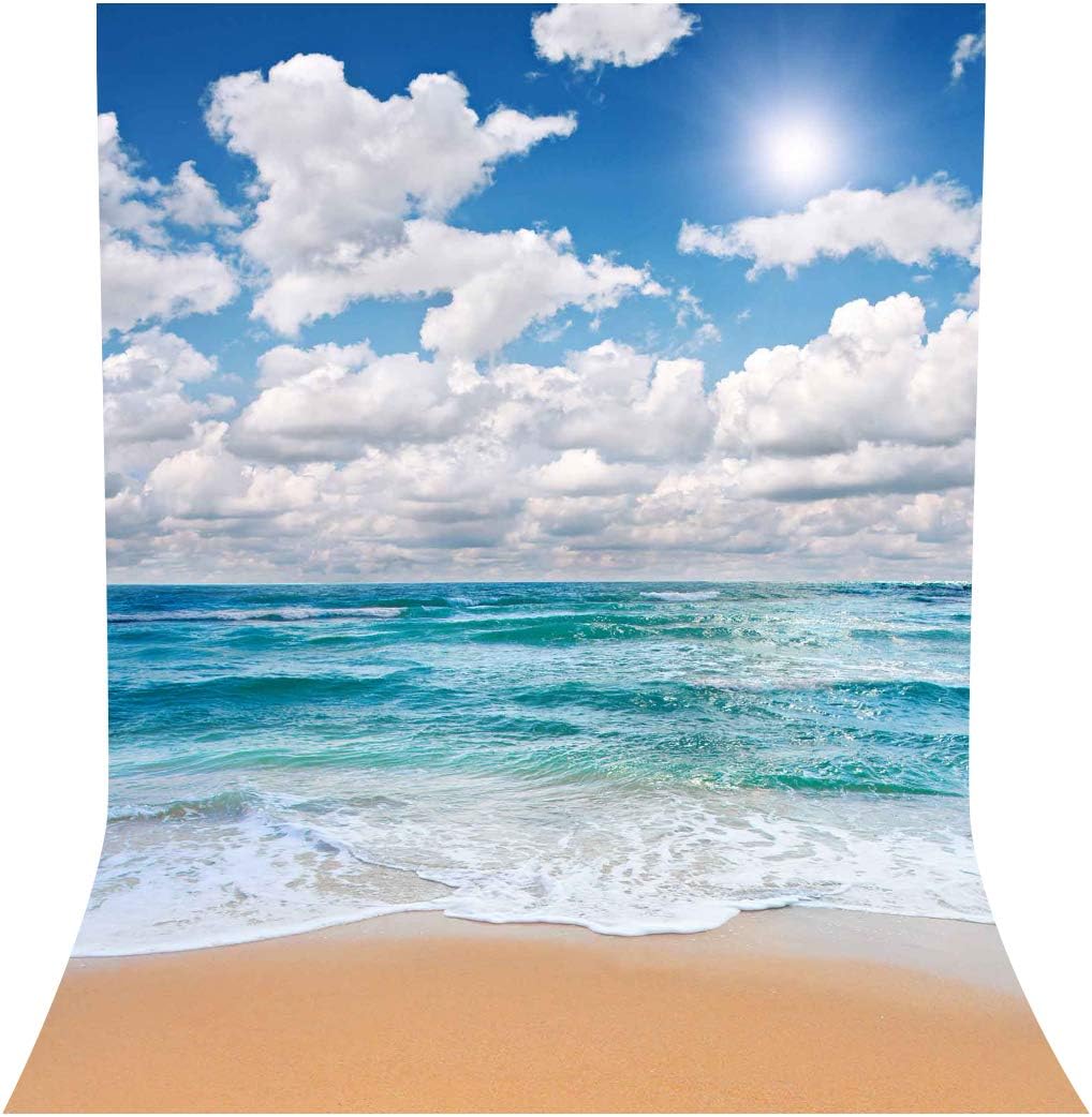 LYLYCTY 5X7ft Seaview Backdrop Blue Sky White Cloud Photography Background Outdoor Holiday Photo Shooting Props LYLX021