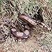 Realistic Snake Realistic Toy,Rubber Snake Figure Prank Toy Halloween Party 2PCS