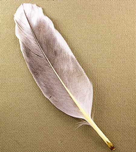 image for It's Your Journey House Blessing/Space Clearing Kit with White Sage, A