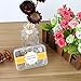 ScivoKaval Bobby Pins Bulk Champagne Gold for Blonde 300 Count Hair Bob Pins Bulk in a Case Box Tub