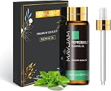 MAYJAM Peppermint Essential Oil 10ML Pure Undiluted with Glass Dropper