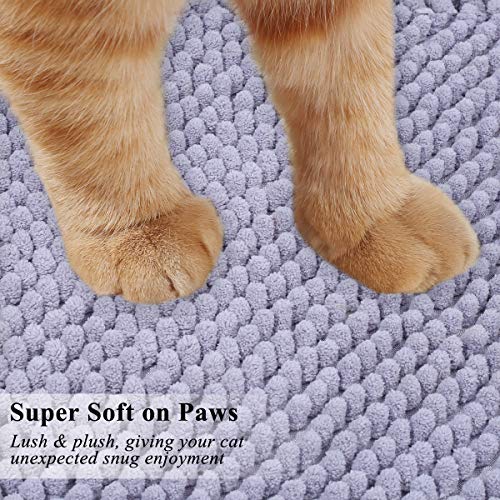 Vivaglory 31"× 20" Large Cat Litter Rug, Super Soft Microfiber Litter