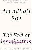 The End of Imagination