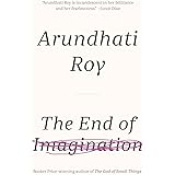The End of Imagination