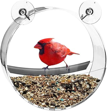 Amazon Com Guoainn Bird Feeder Transparent Round Bird Feeder Food
