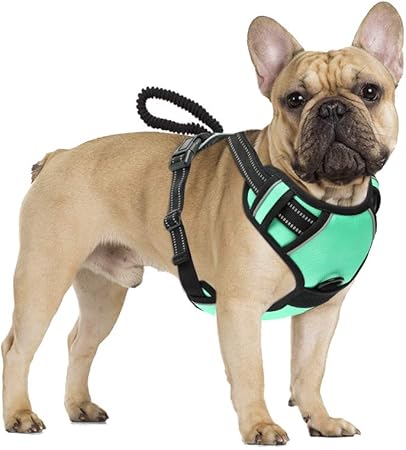 pawaboo harness