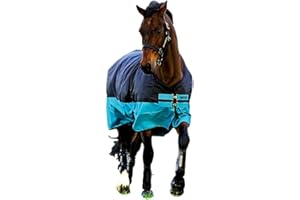 HORSEWARE Ireland Mio T/O Lite, Color: Black/Turq & Black, Size: 69 (AASA41-KCTK-69)