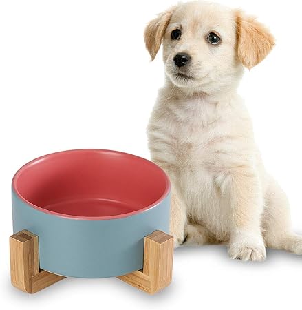 dog high feeder