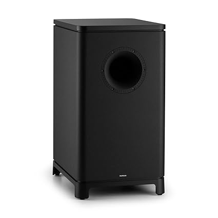 NUMAN Ambience - UniSUB • Aktiv-Subwoofer • Mono-Subwoofer • HiFi Subwoofer • 25 cm (10') • Down-Firing-Bauweise • Line-Ausga
