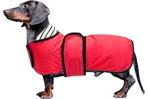 MOREZI Dachshund Raincoat Corgi Raincoat Dogs Waterproof fit for Dachshunds Weiner Long Back Breeds with Reflective Stripe Great Coverage in Autumn Winter - Red - M