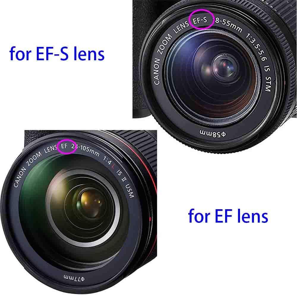 1d X Mark Ii 7d Mark Ii Eos 90d 80d 77d 70d 5d Mark Iv Iii Ii 6d Mark Ii I Front Body Cap And Rear Lens Cap Cover For Canon Eos Ef Ef S Lens For 4000d