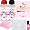 Taba Squishy Maker Kit Gel+Pig Silicone Mold+Pigment