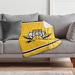 Northern Kentucky University Primary Logo Stripes