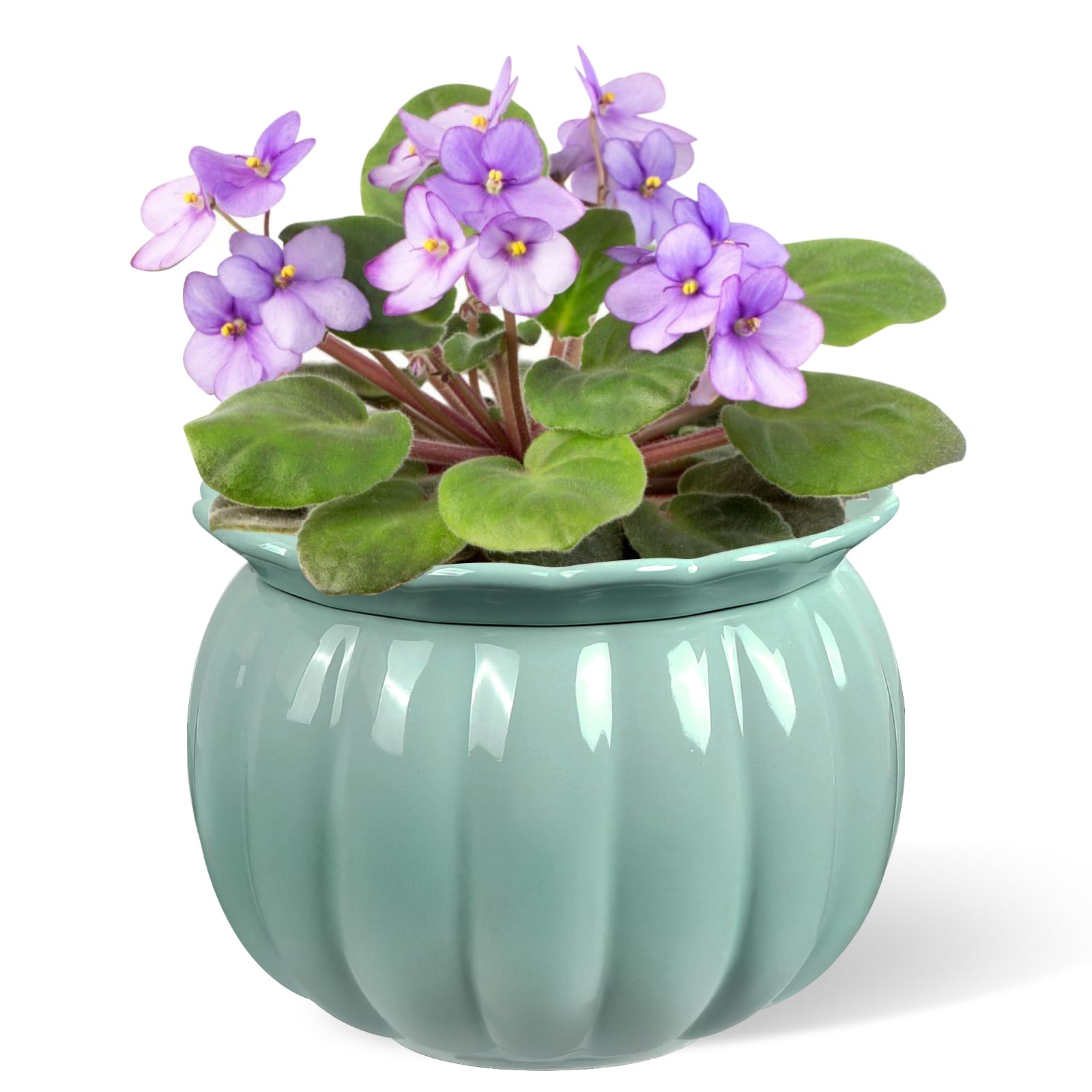 Photo 1 of BUYMAX African Violet Pots, 6 inch Pumpkin-Style Ceramic Easy Self Watering Plant Pot for Busy Plant Lovers, Automatically Absorb Appropriate Amount of Water, Flower Pot Indoor-Plants Not Included