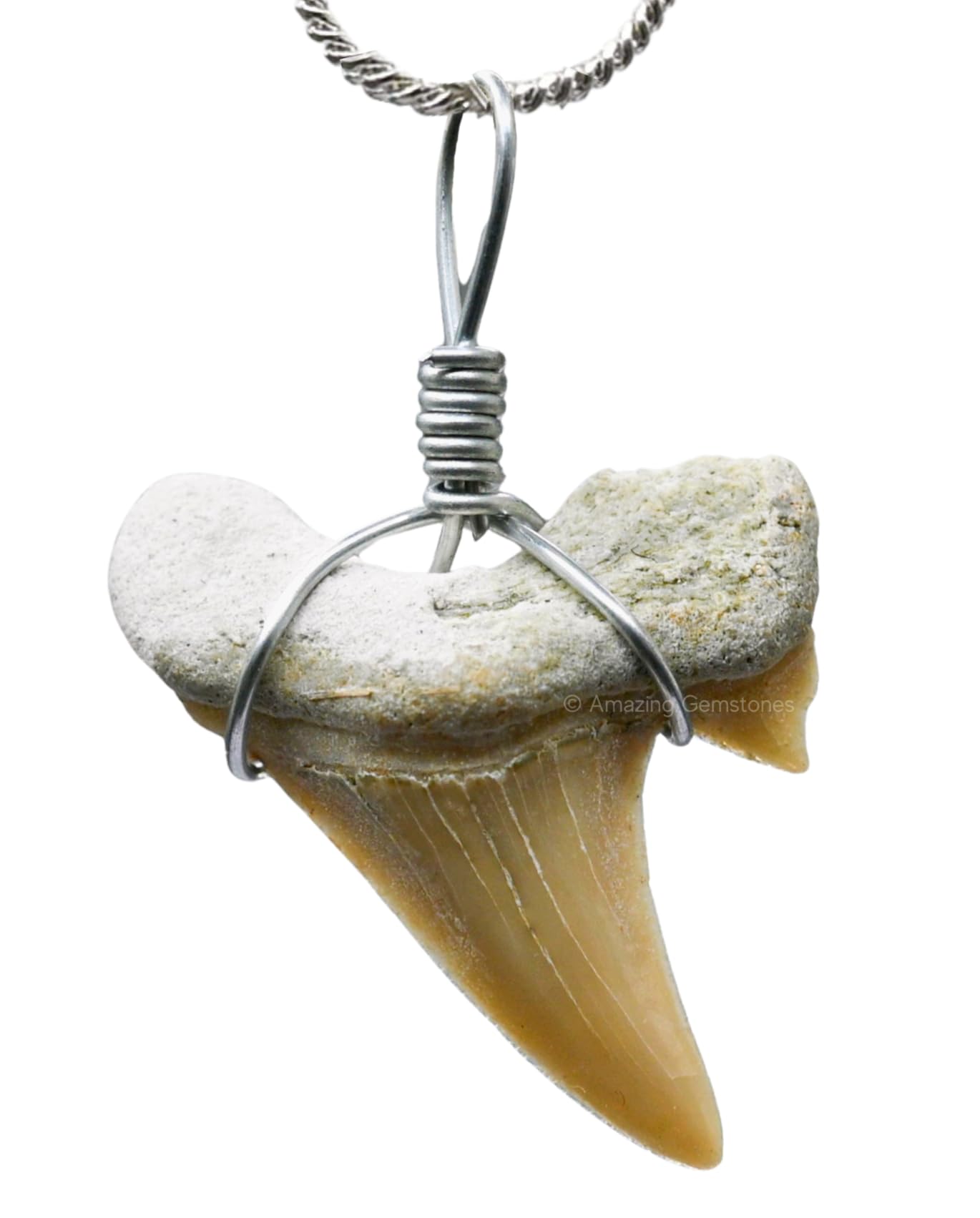 Photo 1 of ***SEE CLERK COMMENTS*** Amazing Gemstone Authentic Shark Tooth Necklace - Unisex Fossil Necklace with Real Great White Shark Teeth - Ideal for Boys, Men, Kids and Girls