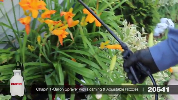 CHAPIN 20541 1-Gallon Foaming Pump Sprayer for Lawn & Garden photo 12