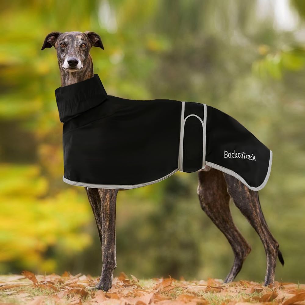 Lightweight Whippet Raincoat, Greyhound Coat - Waterproof Summer Winter Dog Coats for Medium, Large Dogs (XL, Black)