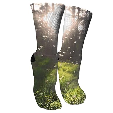 Amazon Com Forest Sunshine Crazy Funny Colorful Novelty Graphic