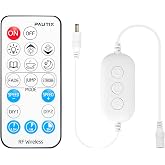 PAUTIX RF Remote Dimmer for Single Color LED Strip Lights,18-Key Wireless Remote and in-line Controller DC 12V-24V for 3528/2835/5050/COB LED Tape Lights,Timer Function