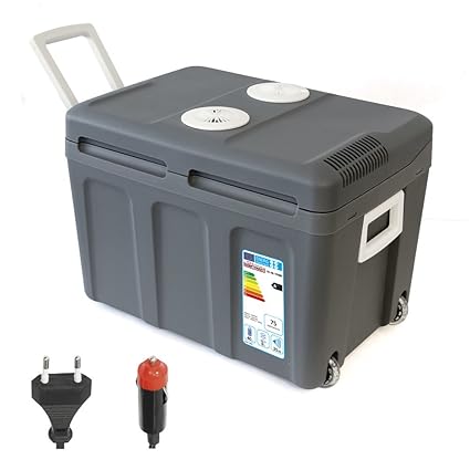 Dino KRAFTPAKET Nevera 40L de 12 V 230 V (calienta y enfría ...